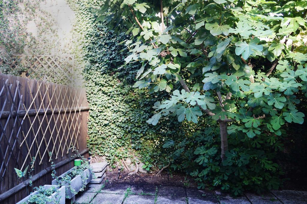 La Maisonette Et Son Jardin Venice Ngoại thất bức ảnh